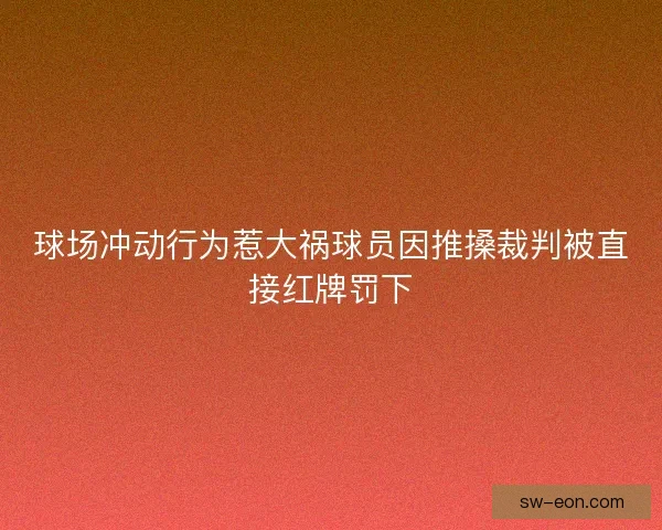 球场冲动行为惹大祸球员因推搡裁判被直接红牌罚下