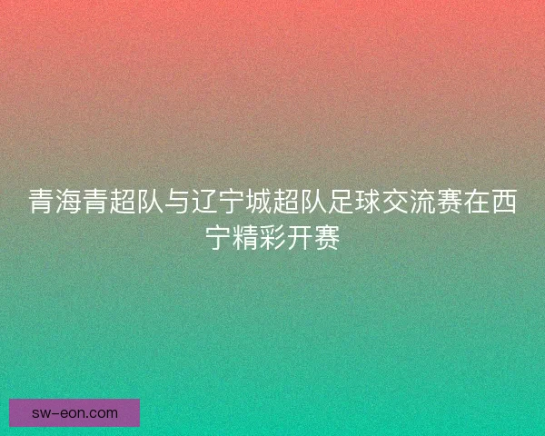 青海青超队与辽宁城超队足球交流赛在西宁精彩开赛 青海青超队与辽宁城超队足球交流赛在西宁精彩开赛